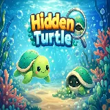 Hidden Turtle