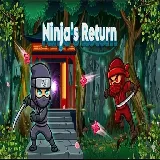 Ninjas Return 