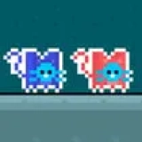 Red and Blue Cat